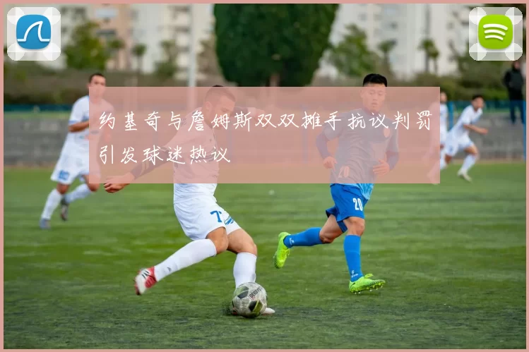 约基奇与詹姆斯双双摊手抗议判罚引发球迷热议
