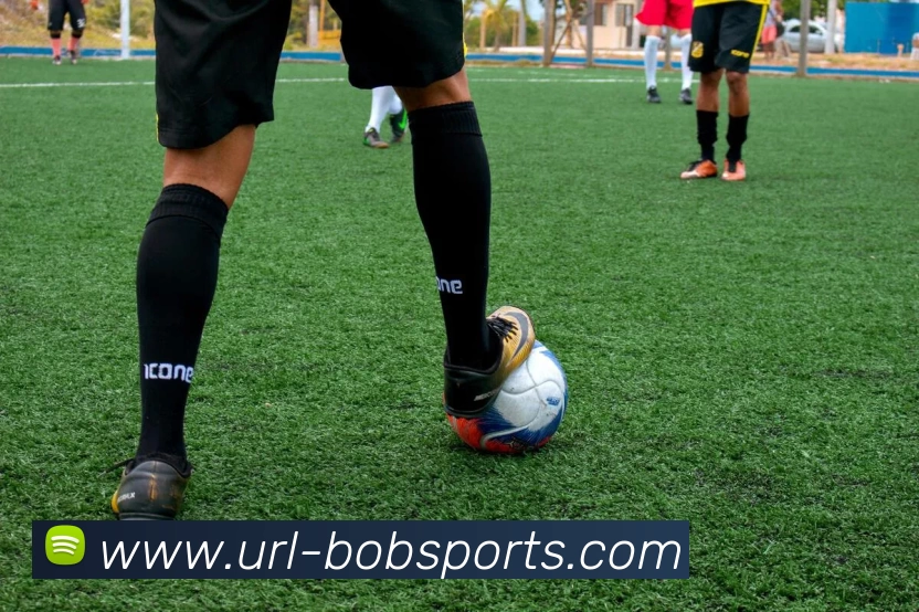 BOB体育服务体系